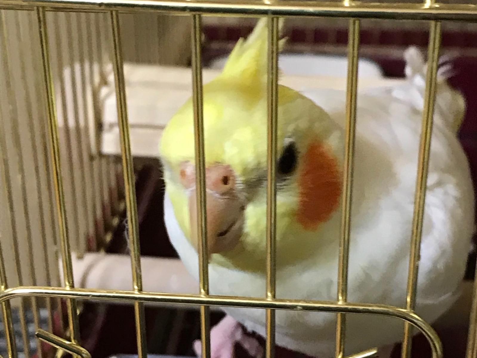 ララちゃん ララちゃん