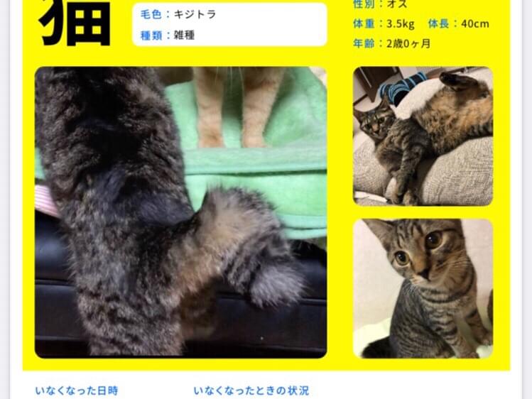 トラちゃん トラちゃん