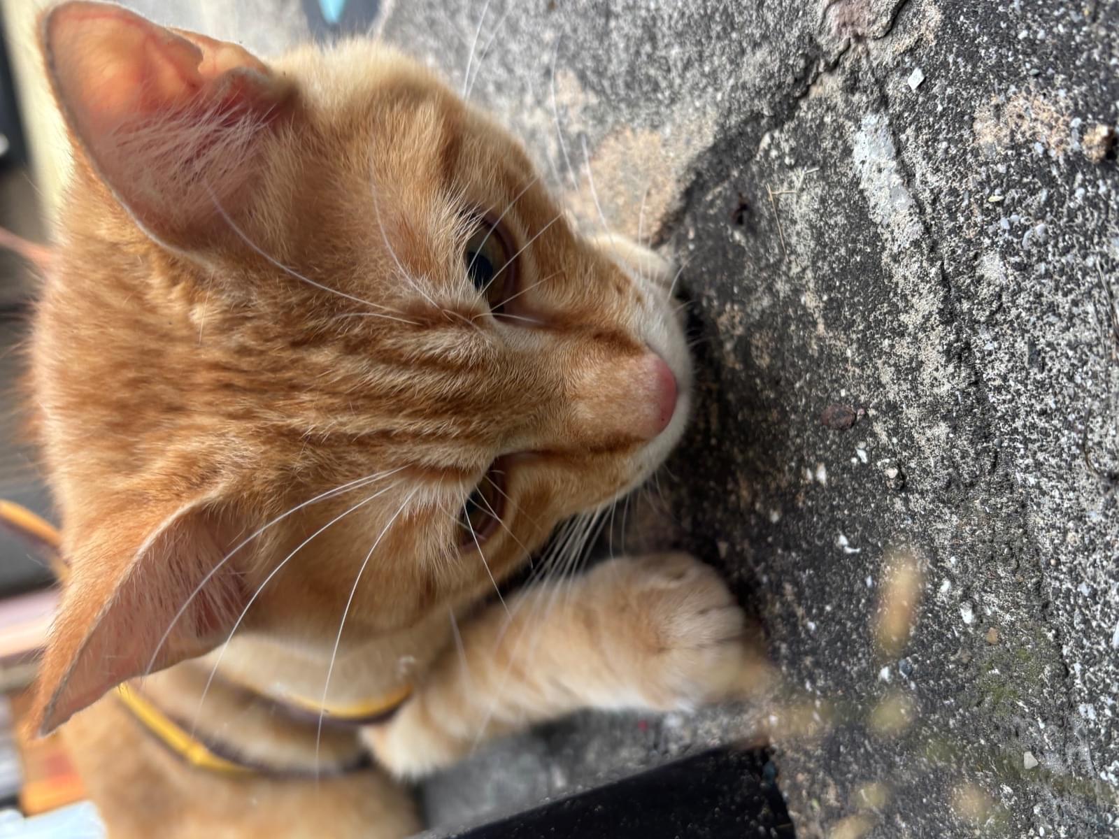 すみちゃん すみちゃん