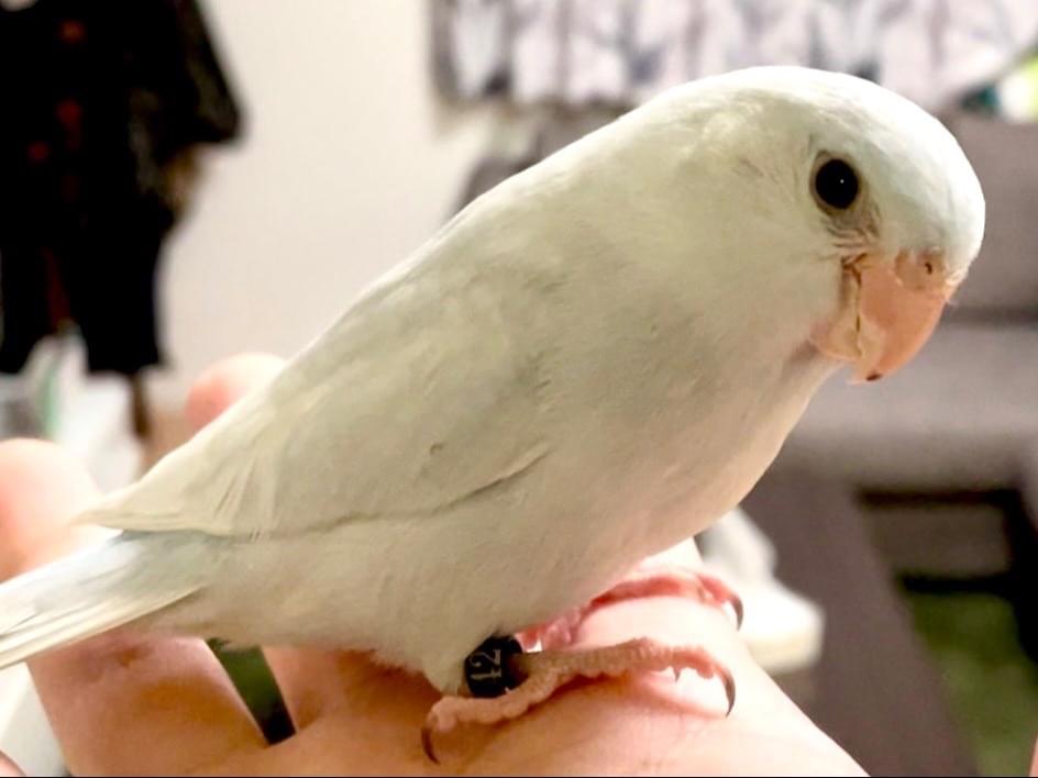 ソラちゃん ソラちゃん