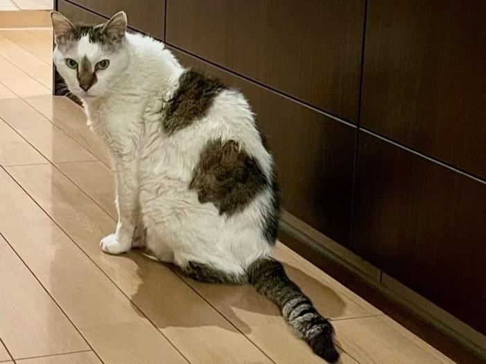 まみちゃん まみちゃん
