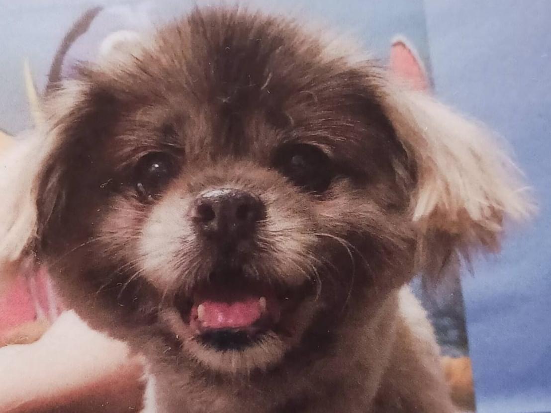 ダイキチちゃん ダイキチちゃん