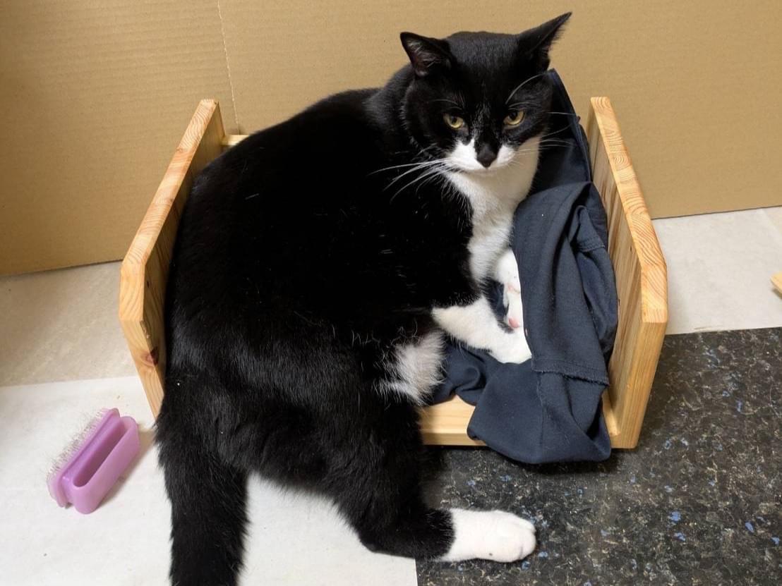 えみちゃん えみちゃん