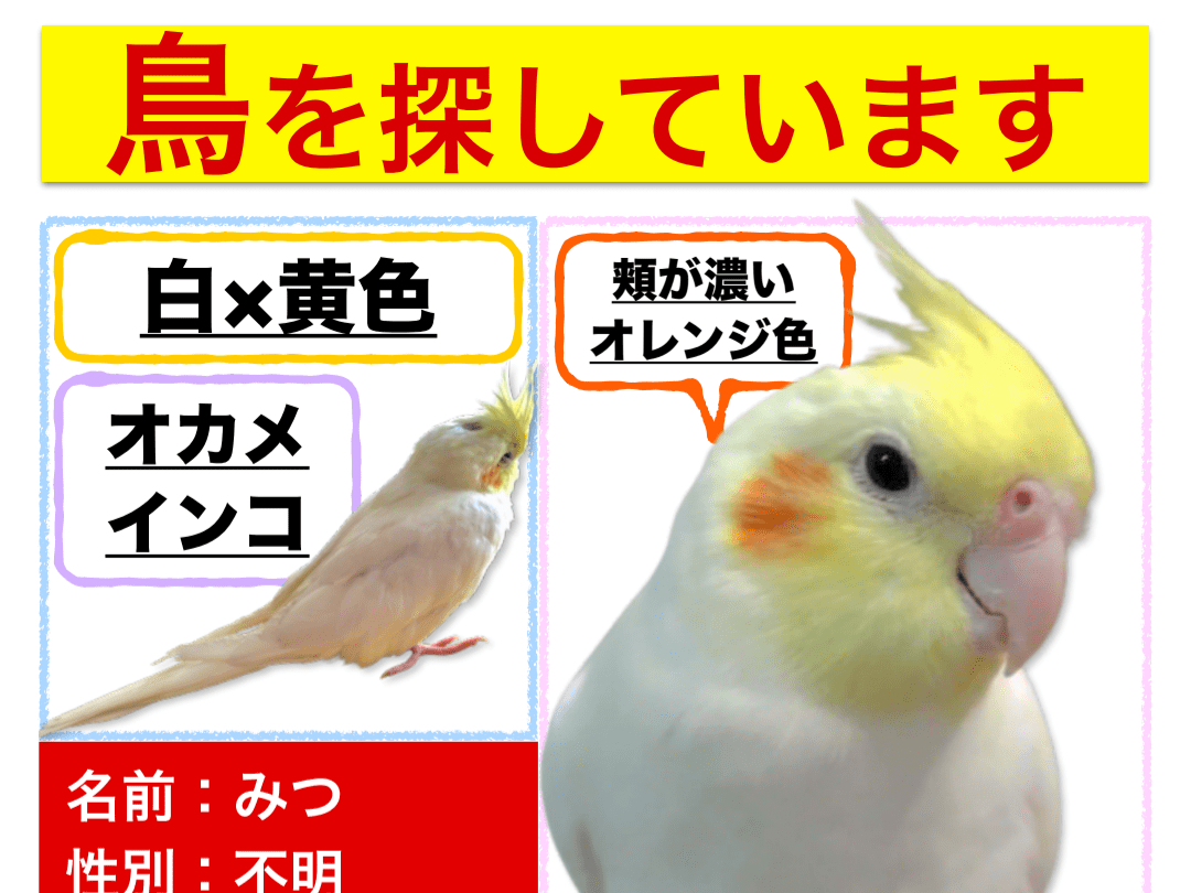 みつちゃん みつちゃん