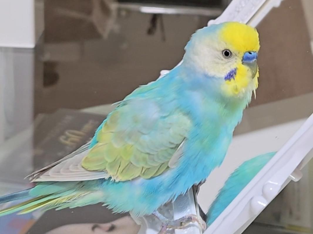 ムーちゃん ムーちゃん