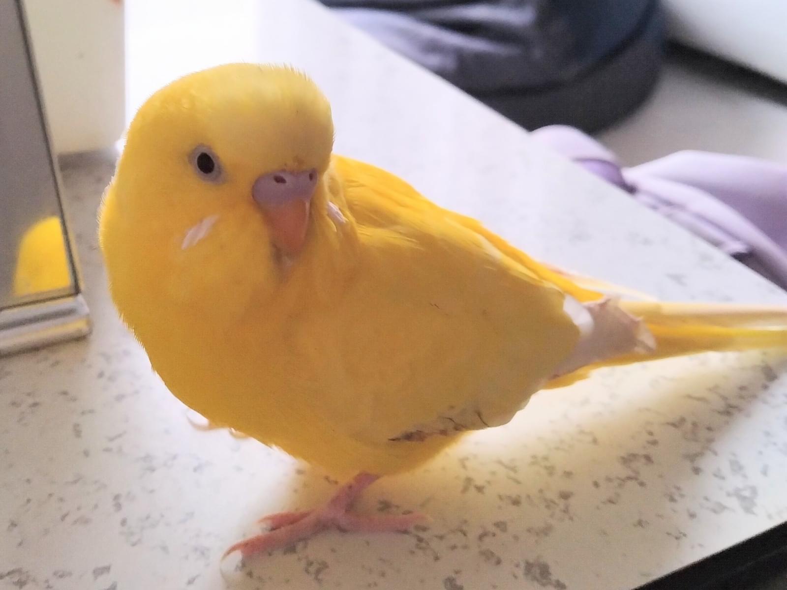むーちゃん
