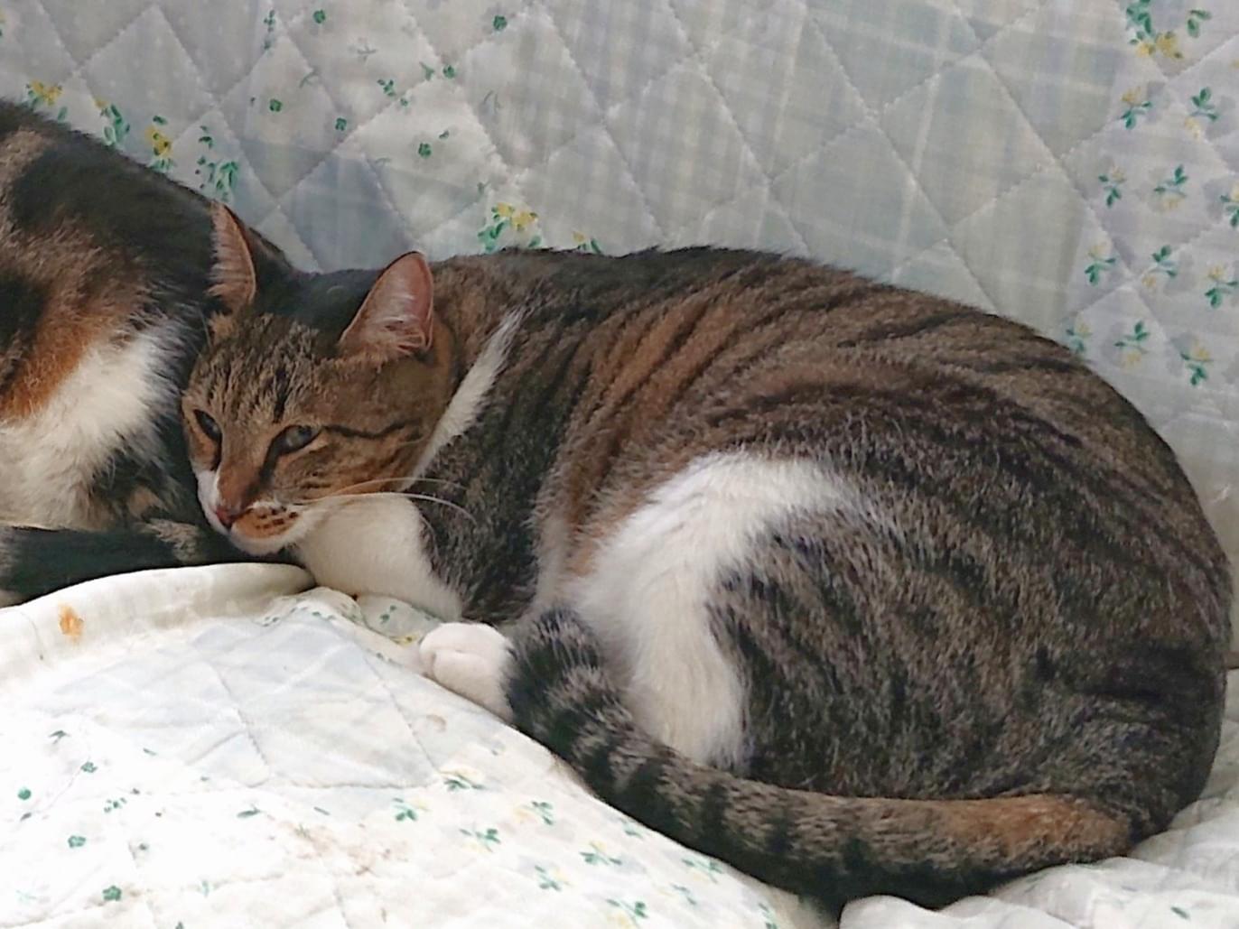 いちちゃん いちちゃん