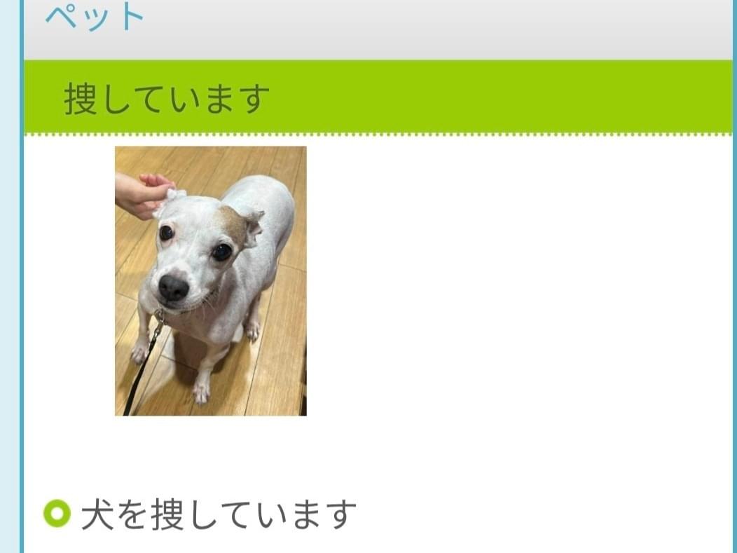 おもちちゃん おもちちゃん