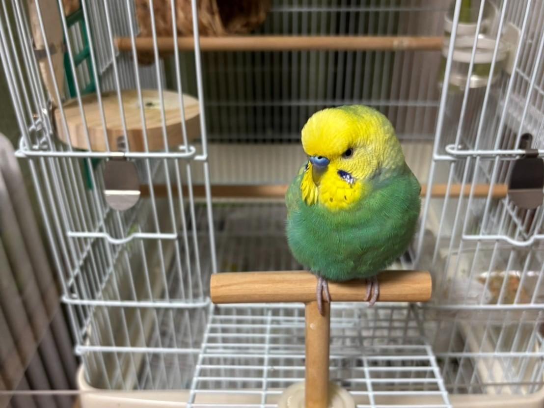 あーちゃん あーちゃん
