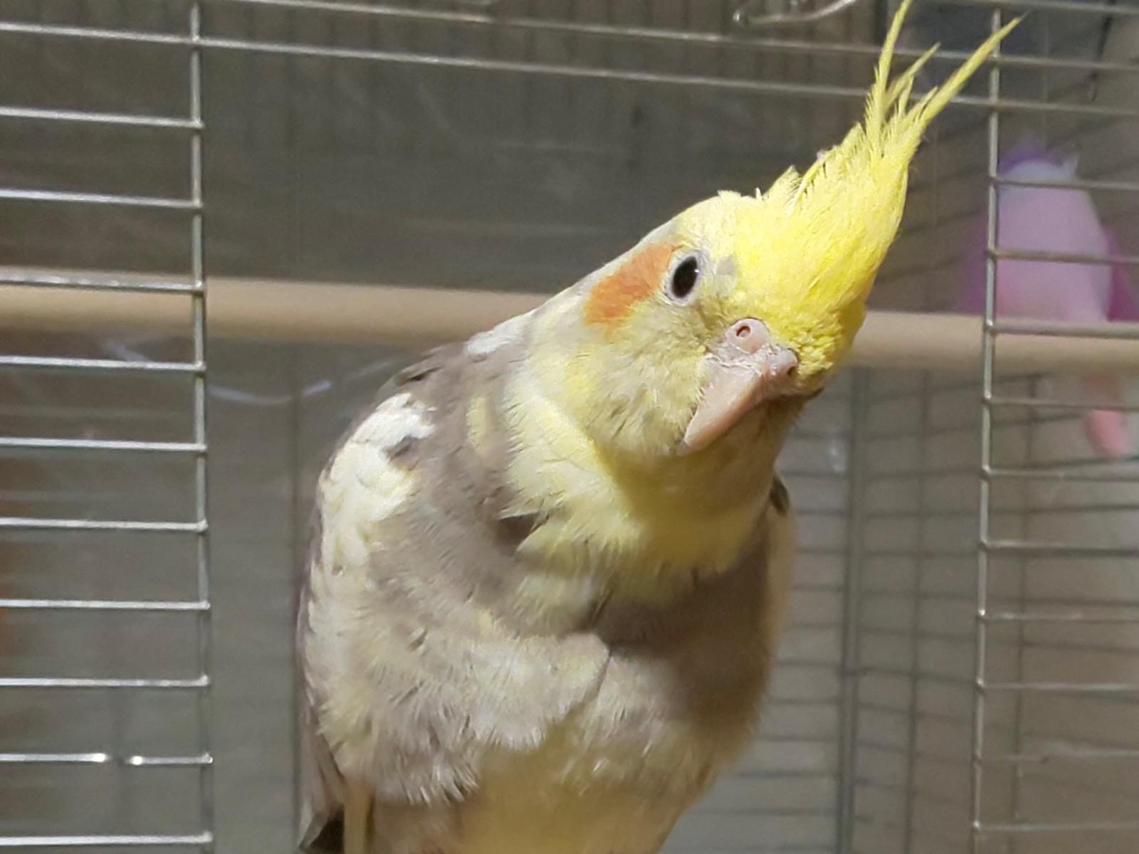 そらちゃん そらちゃん