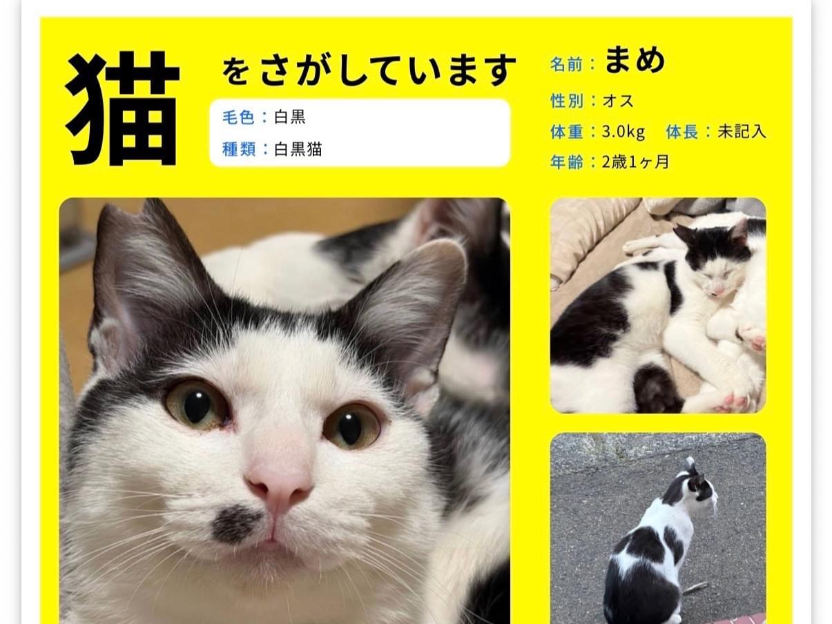 まめちゃん まめちゃん