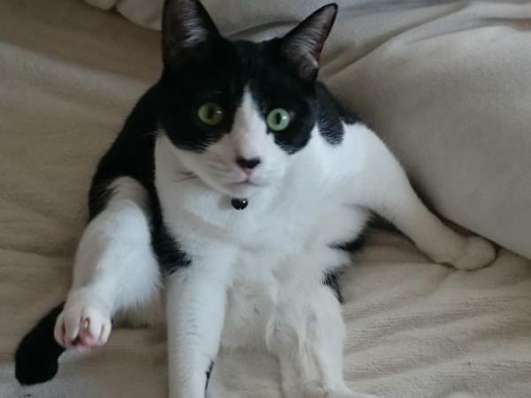 くぅちゃん くぅちゃん