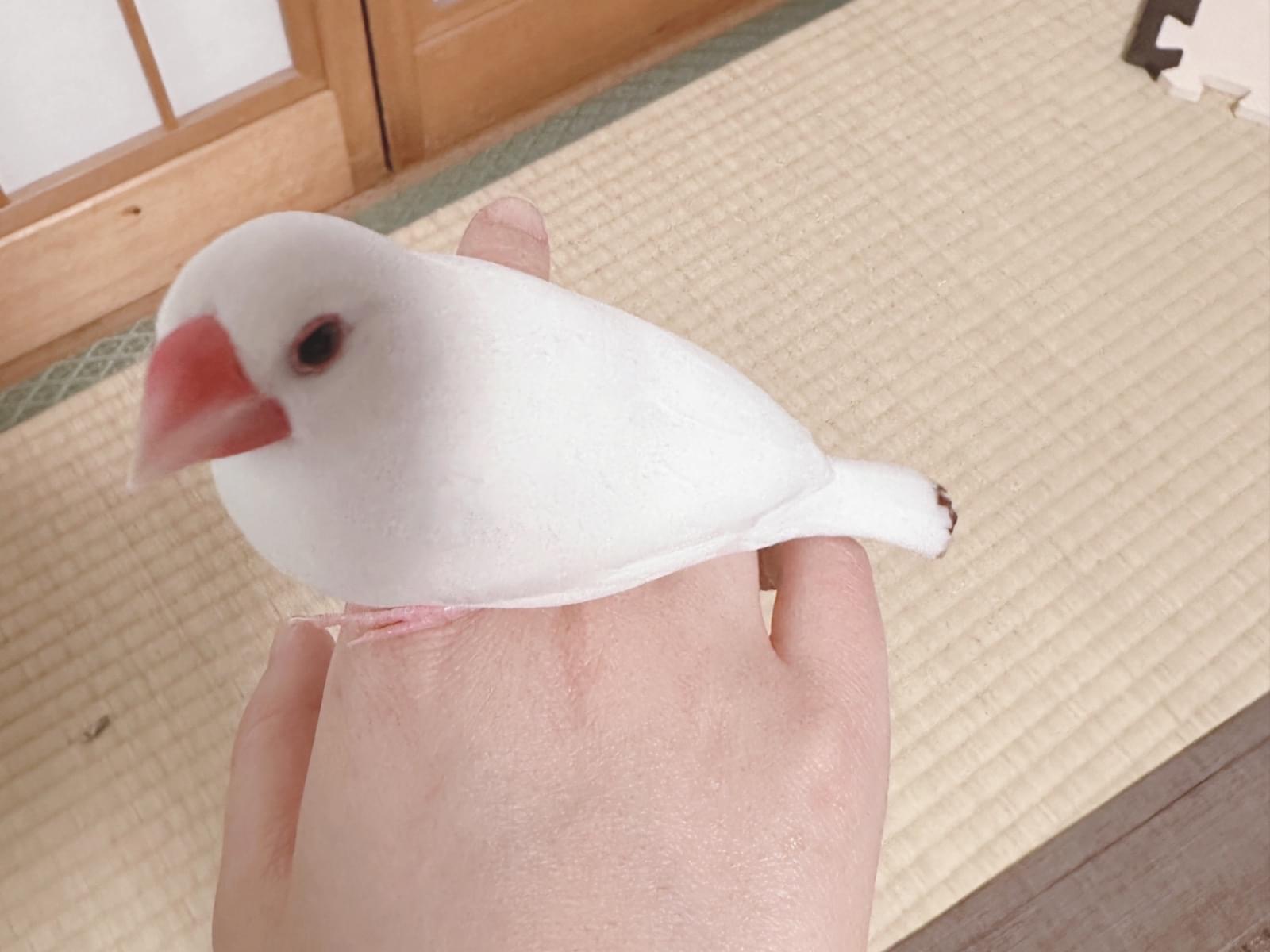 ふくちゃん ふくちゃん