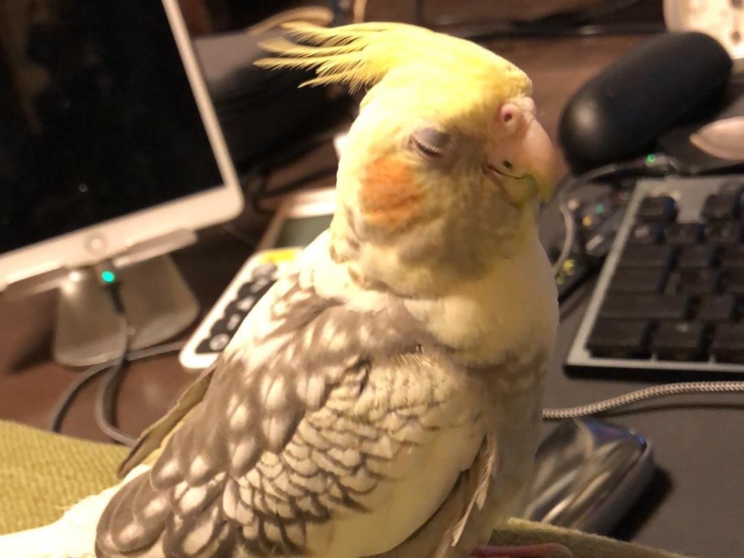 そらちゃん そらちゃん