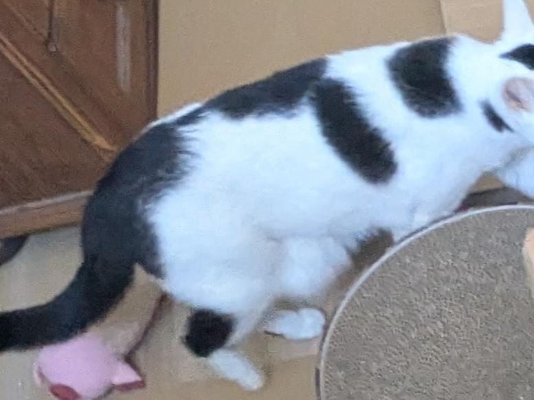 みよちゃん みよちゃん