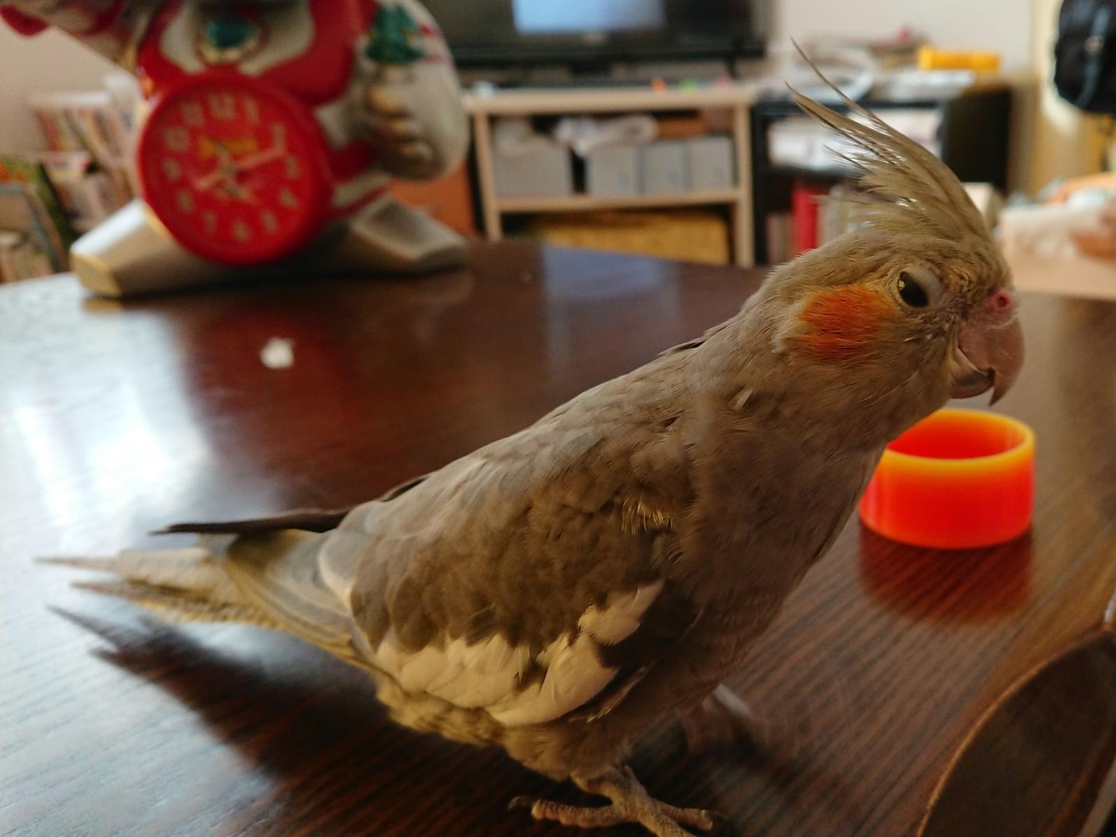 うめちゃん うめちゃん