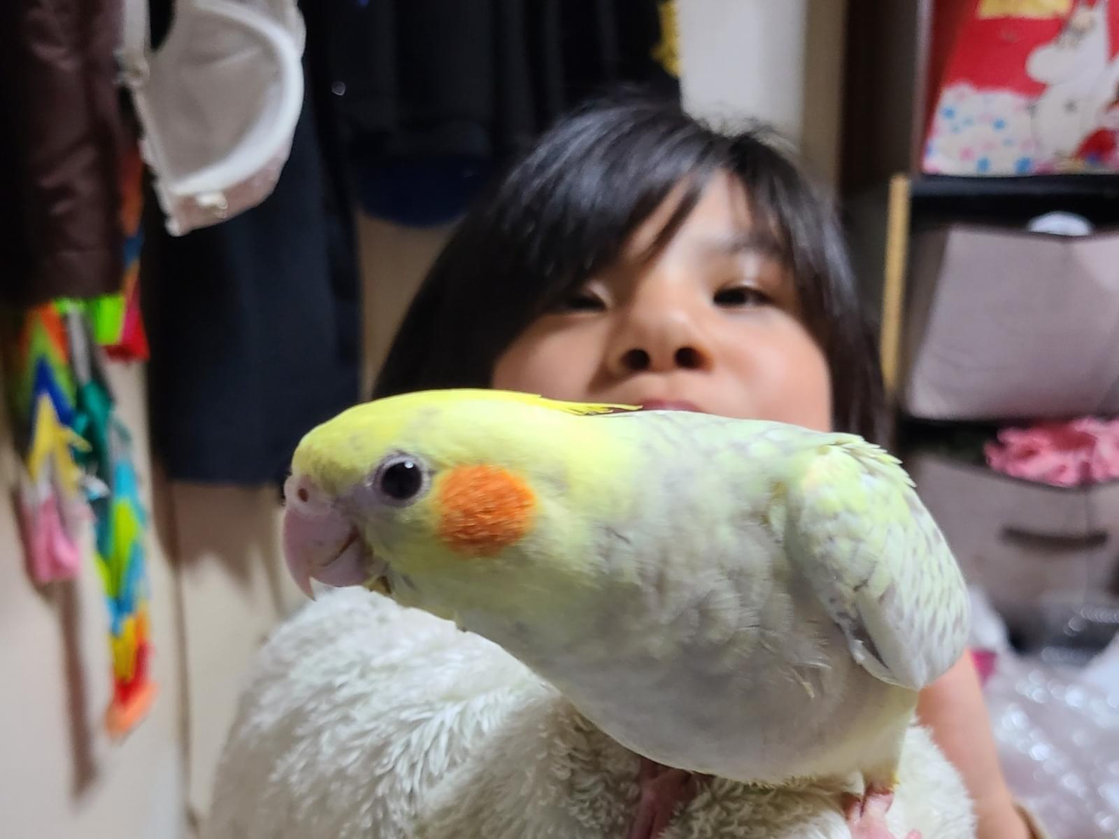 パールちゃん パールちゃん