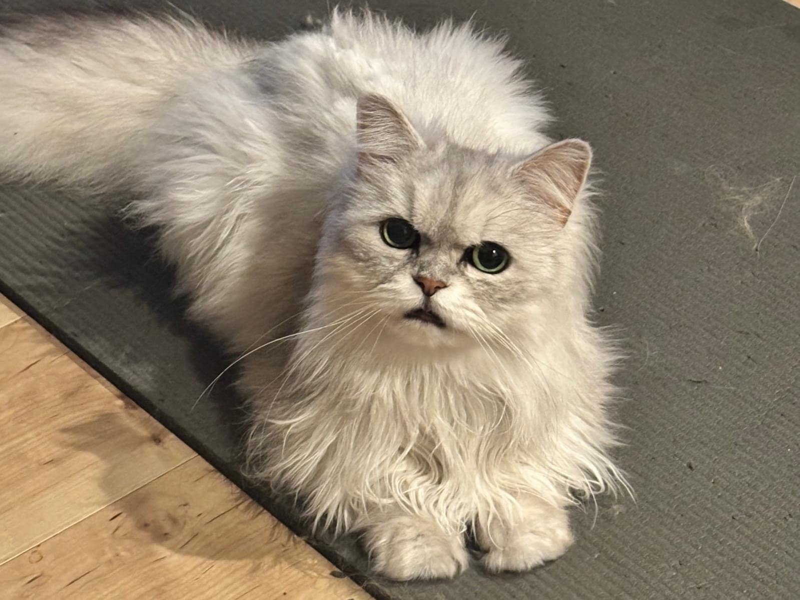 ズズちゃん