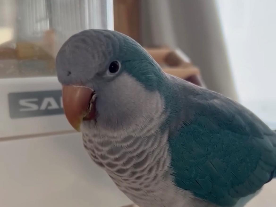 まるちゃん まるちゃん