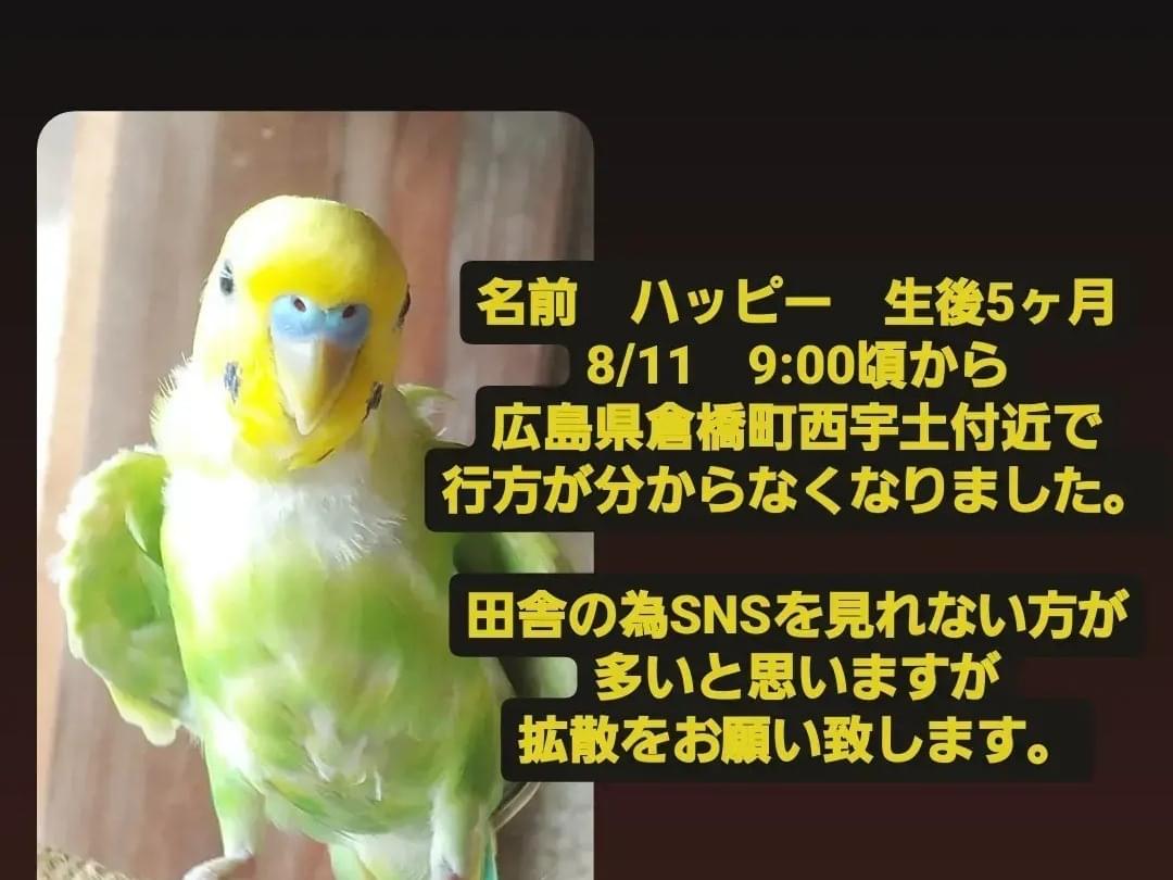 ハッピーちゃん ハッピーちゃん