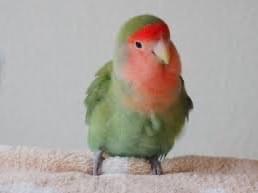 メイちゃん メイちゃん