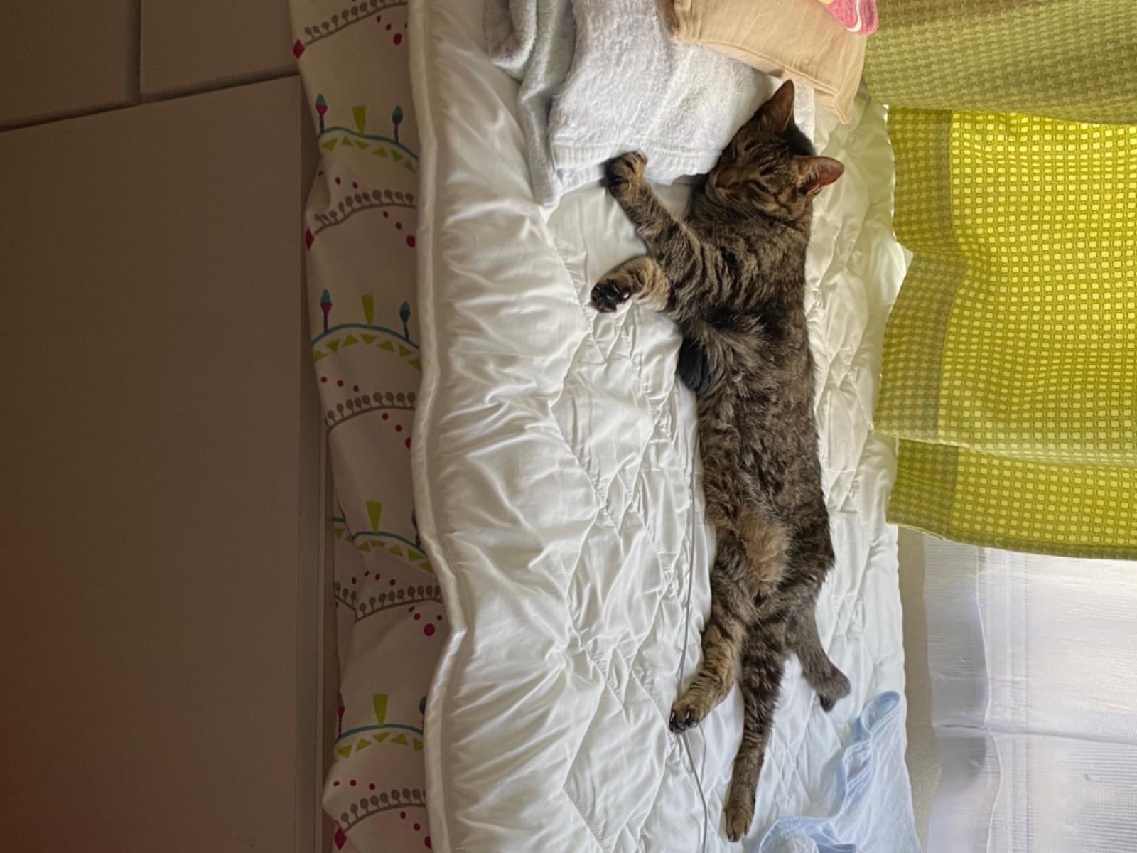 のびたちゃん のびたちゃん