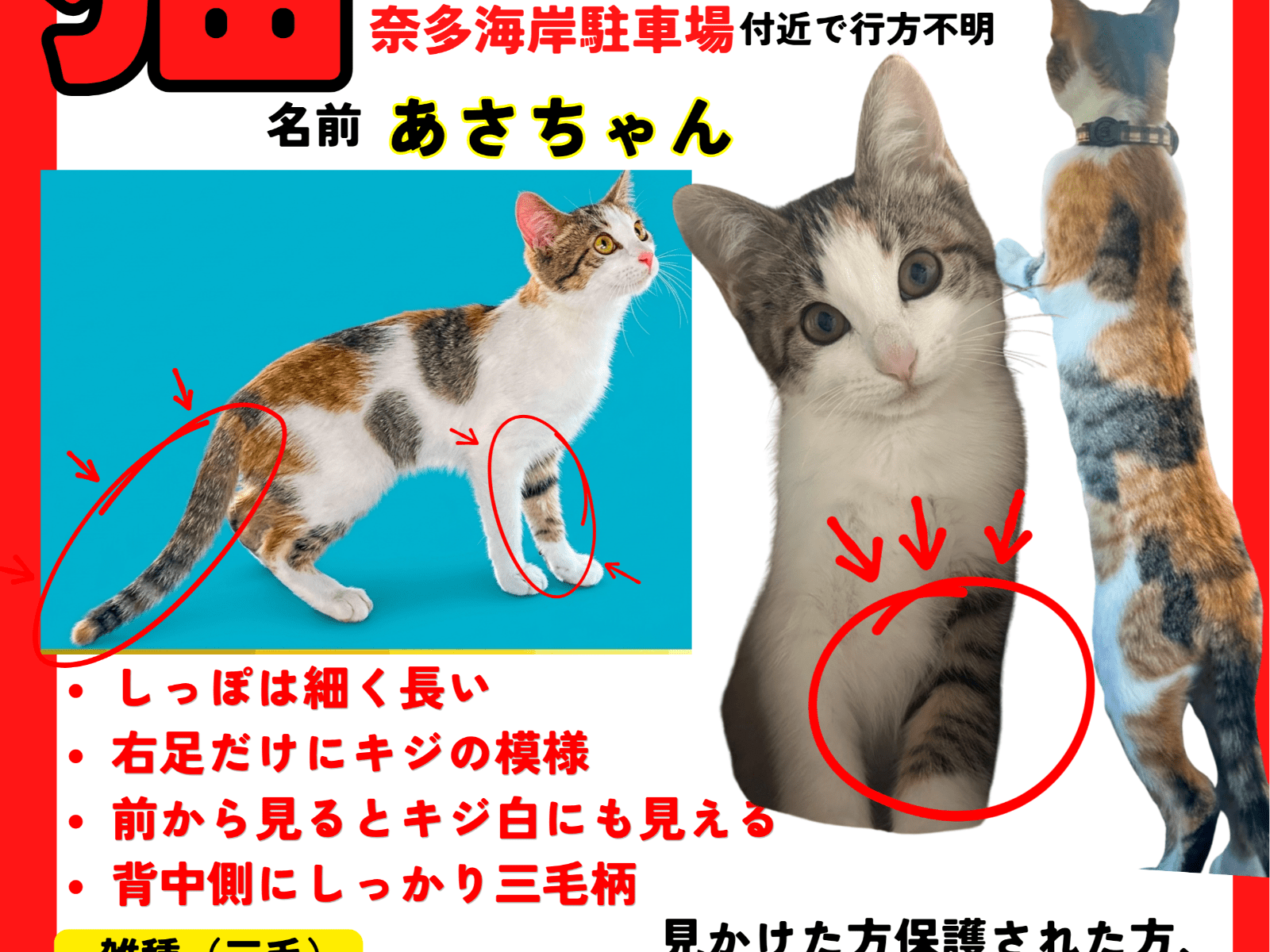 あさちゃん あさちゃん