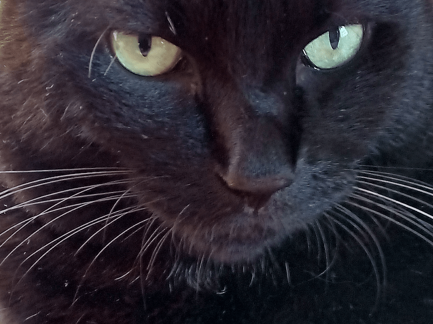 ワッキーちゃん ワッキーちゃん