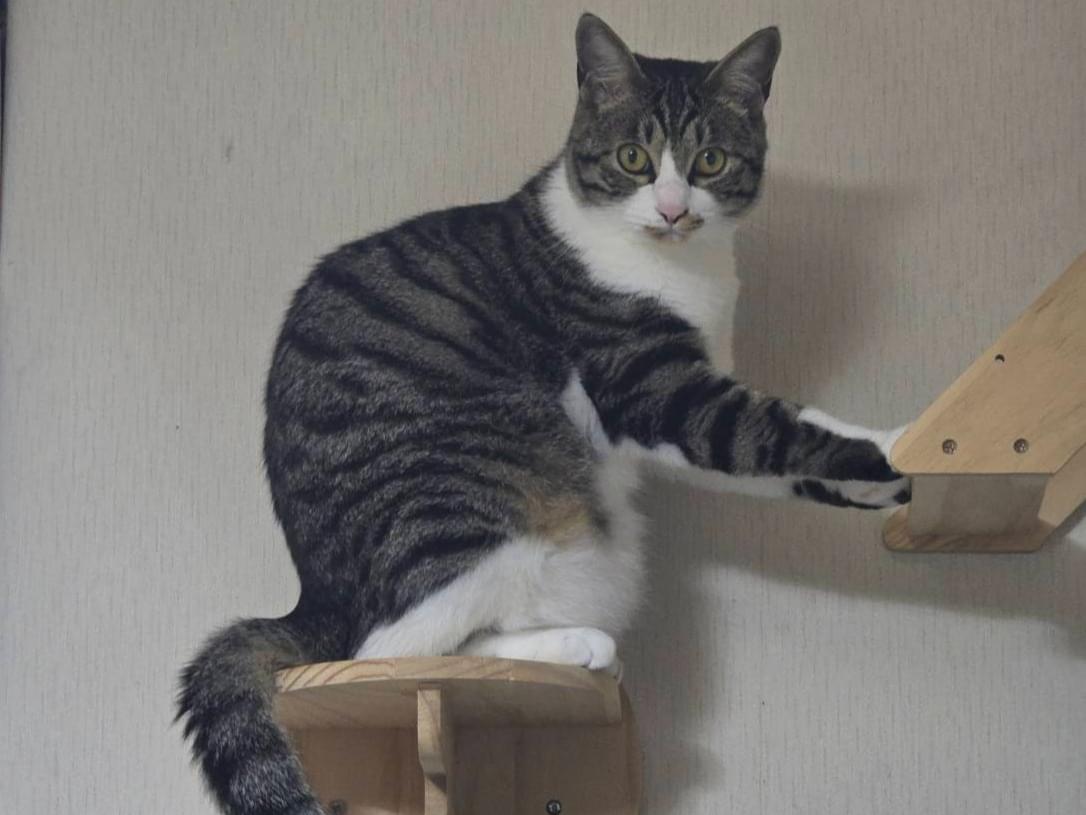 むつきちゃん むつきちゃん
