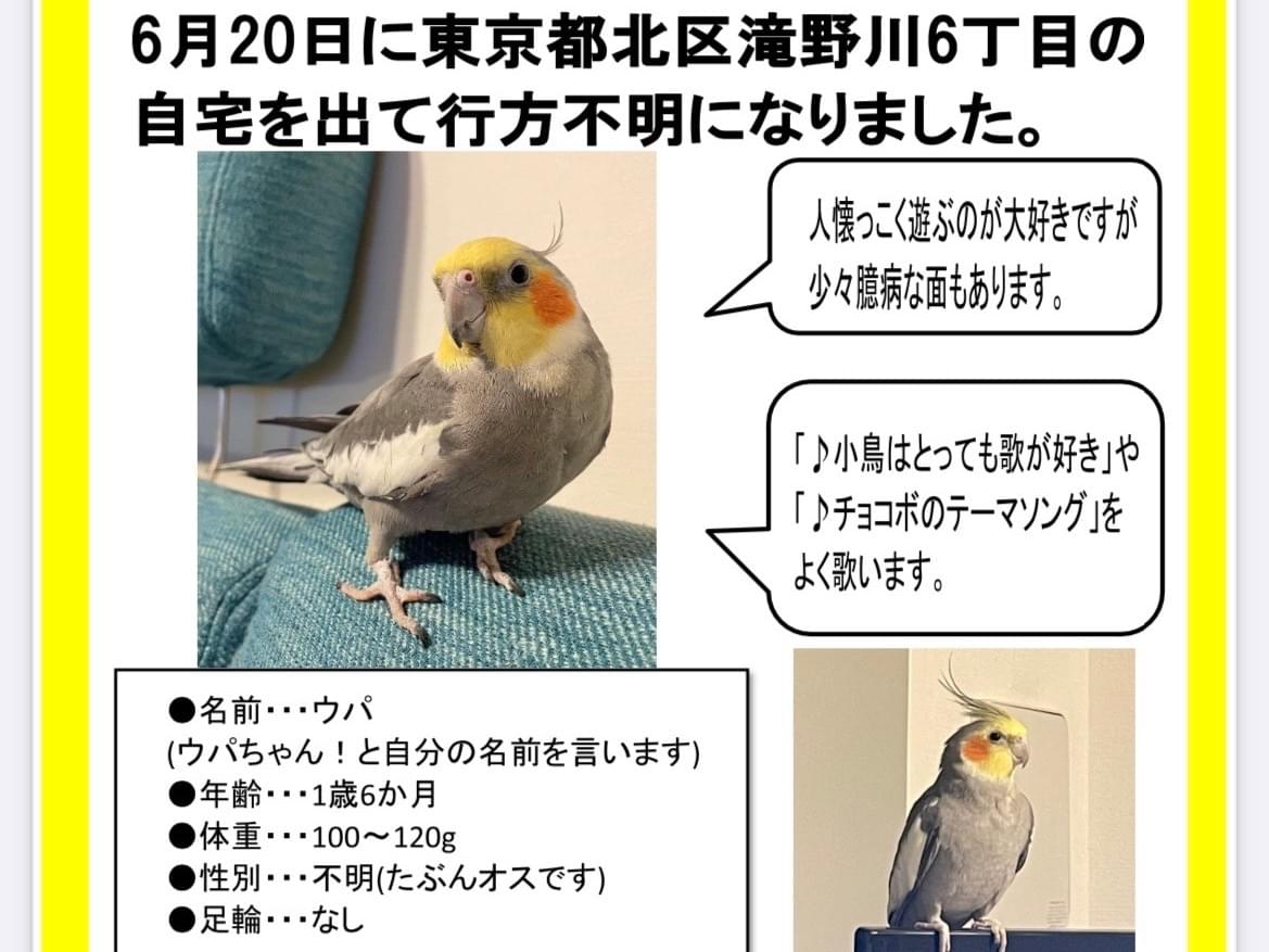 ウパちゃん ウパちゃん