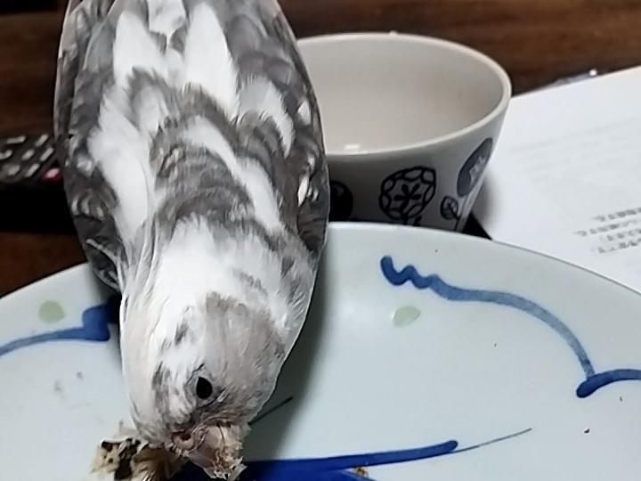 あーちゃん あーちゃん