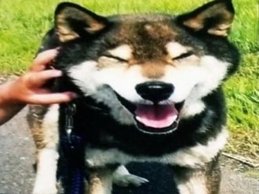 レオちゃん レオちゃん