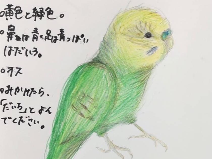 だいちちゃん だいちちゃん