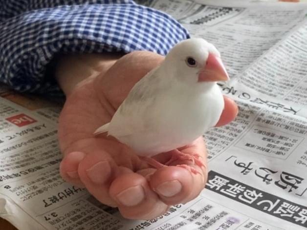 クルちゃん クルちゃん