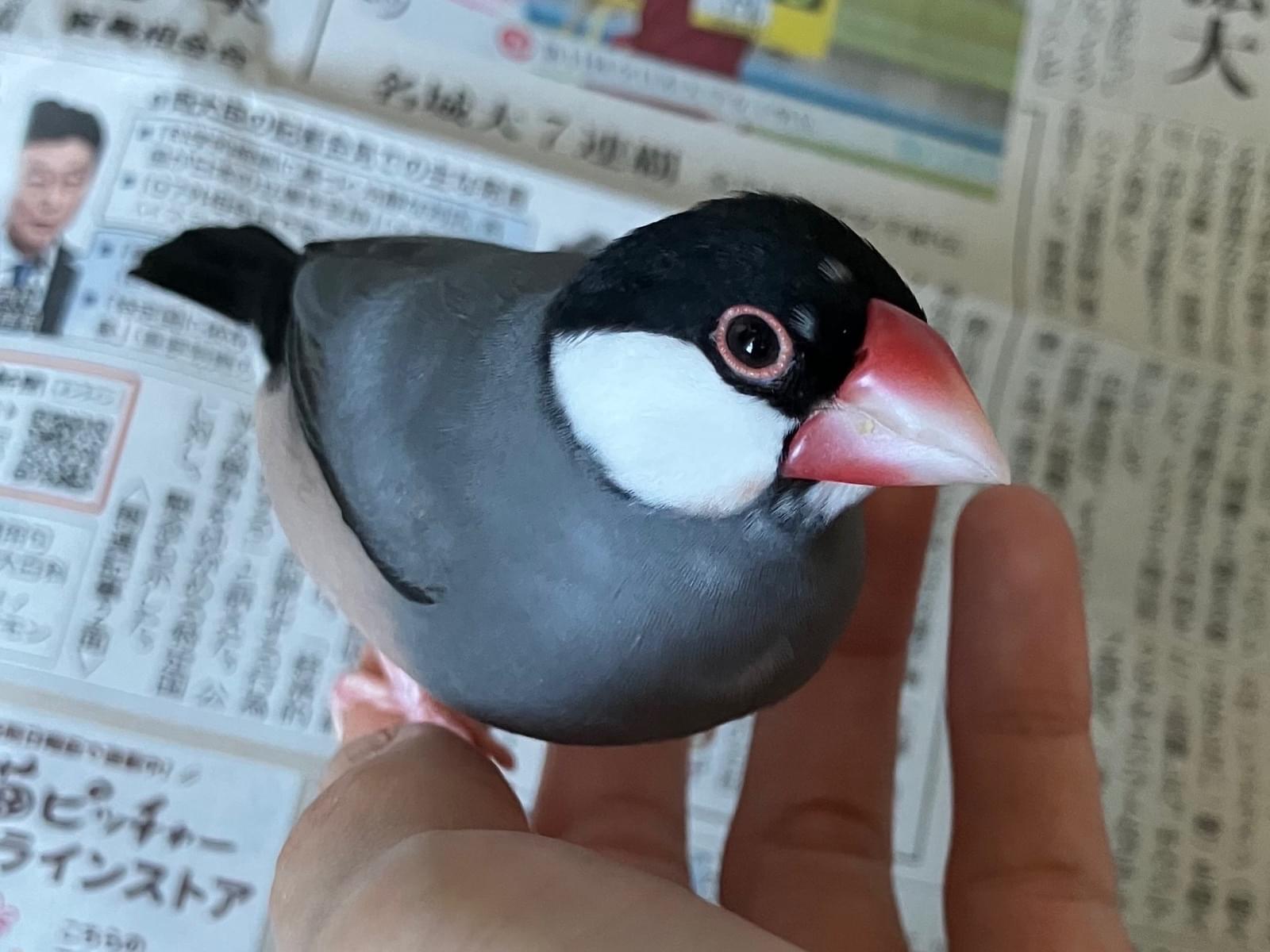 みーちゃん みーちゃん
