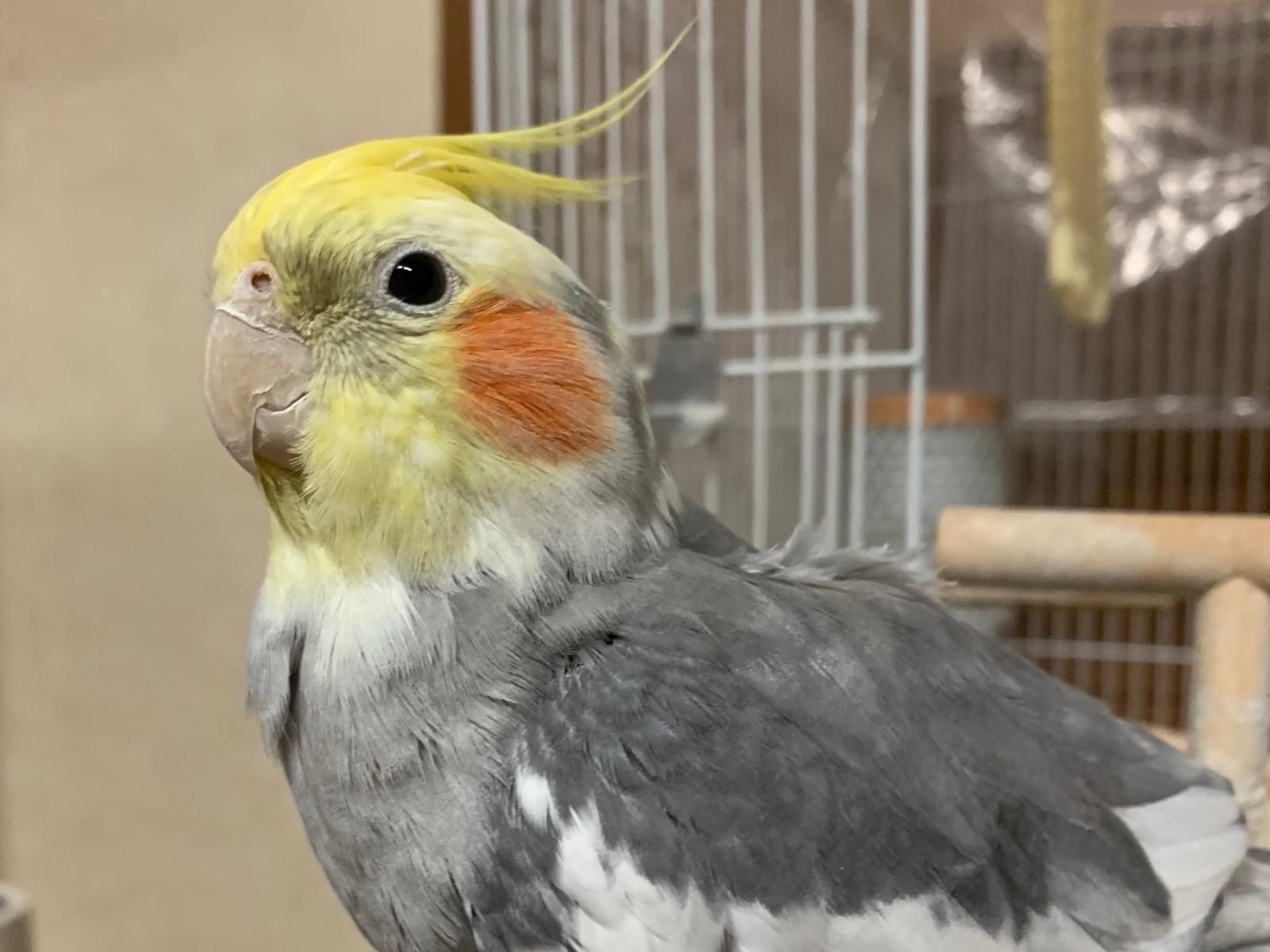 リオちゃん リオちゃん