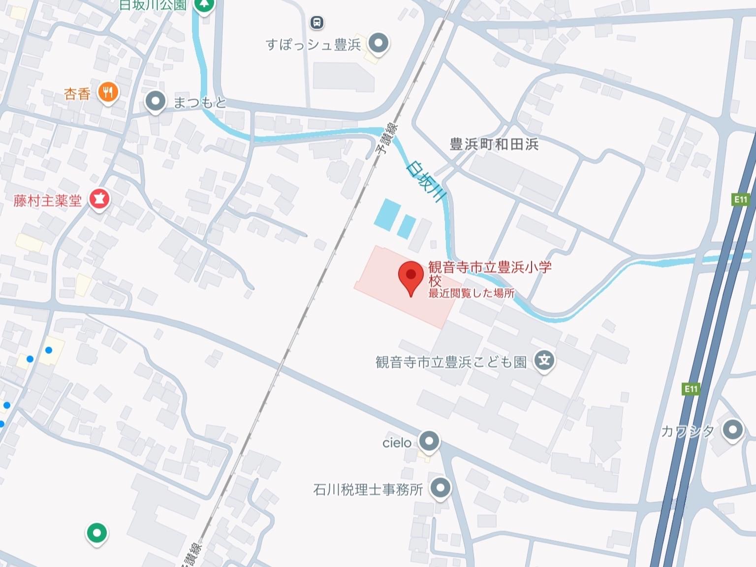 目撃された犬 目撃された犬