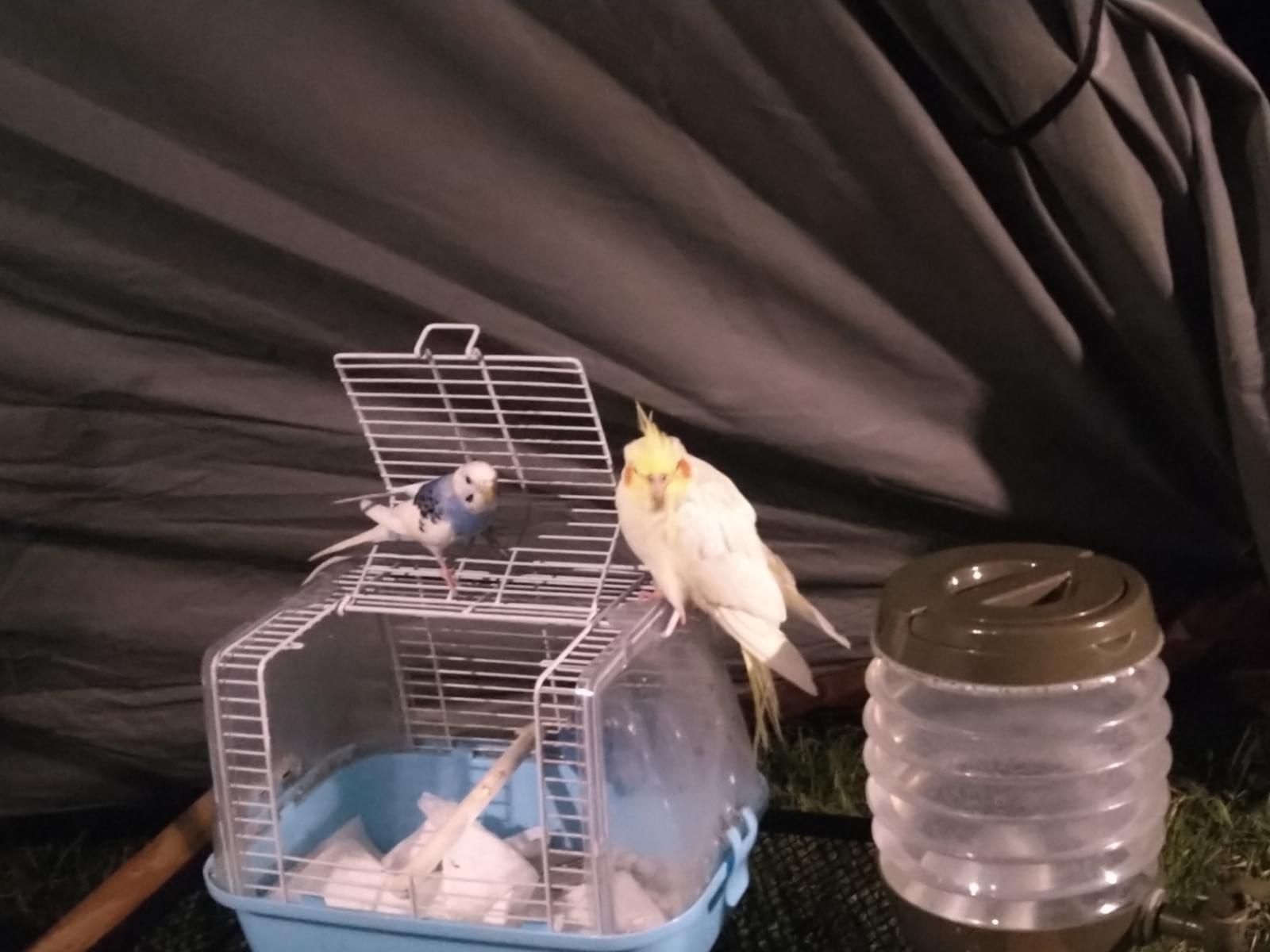 あきちゃん あきちゃん