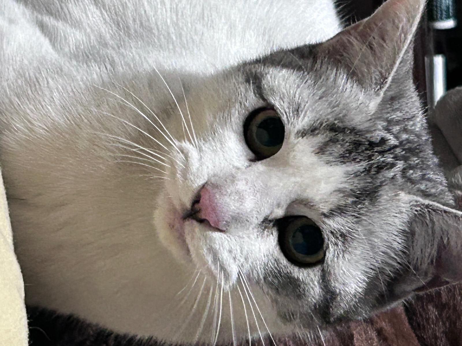 くらげちゃん