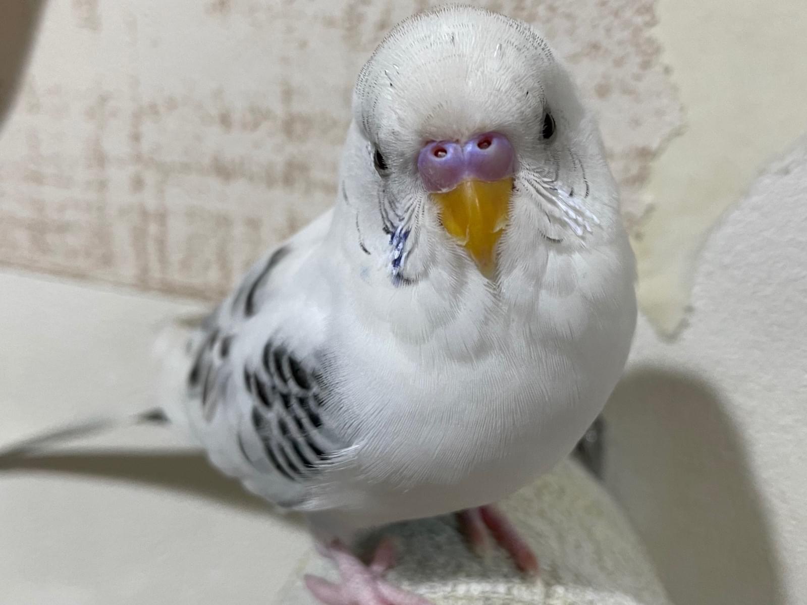 なつちゃん なつちゃん