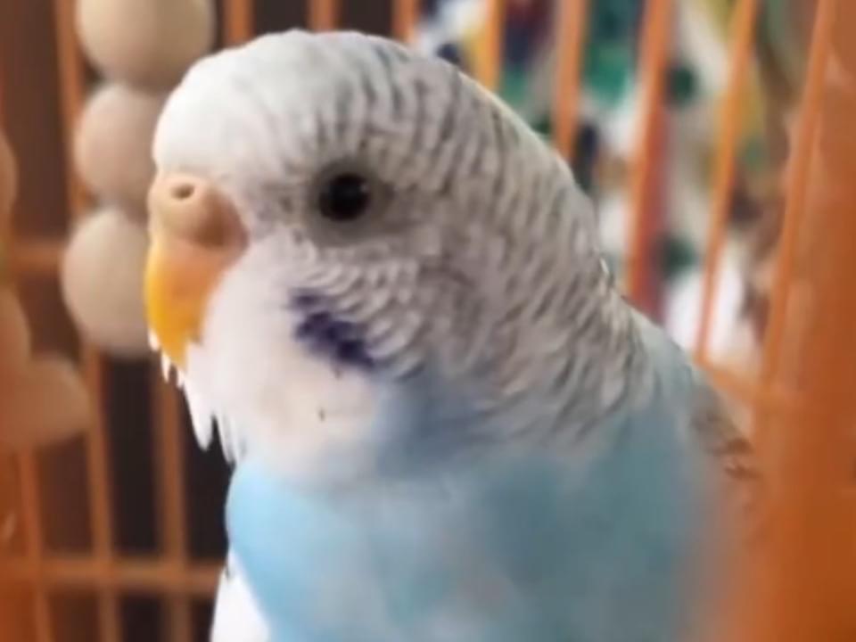 むむちゃん むむちゃん