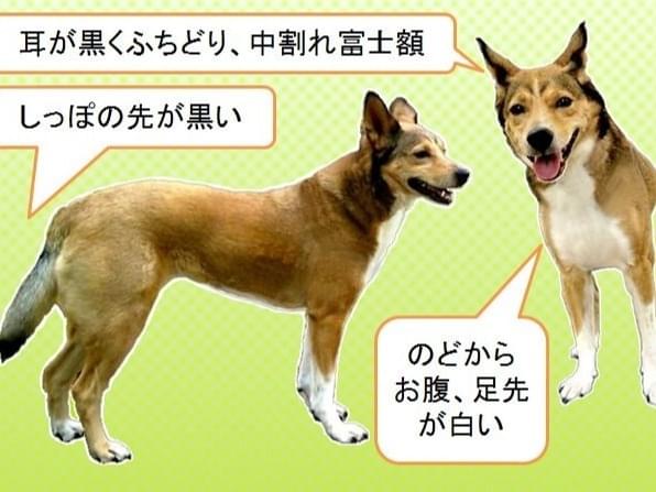てらちゃん てらちゃん