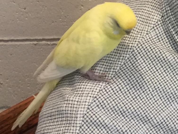 なっちゃん なっちゃん