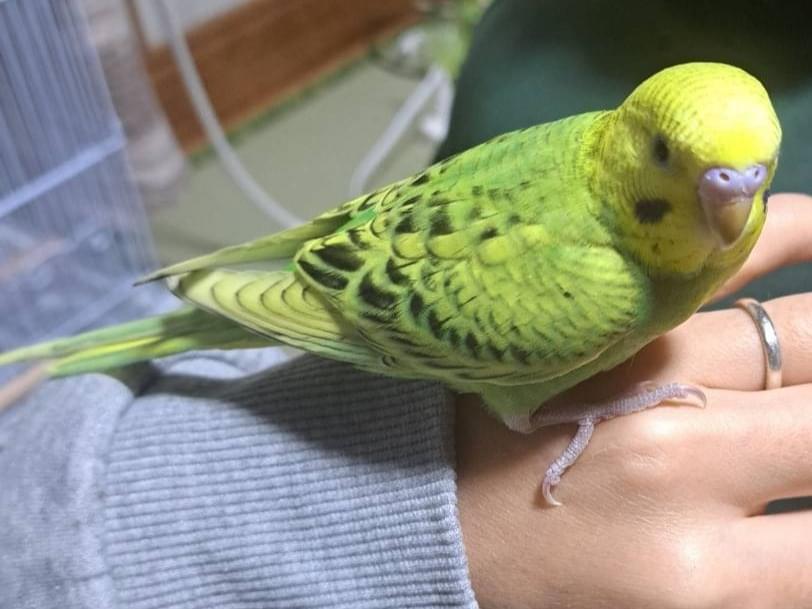 エレンちゃん エレンちゃん