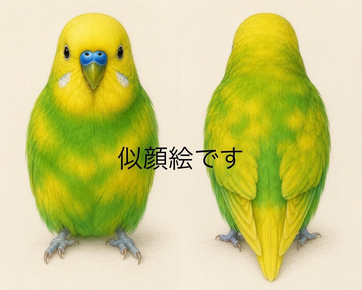 黄色と緑のセキセイインコ