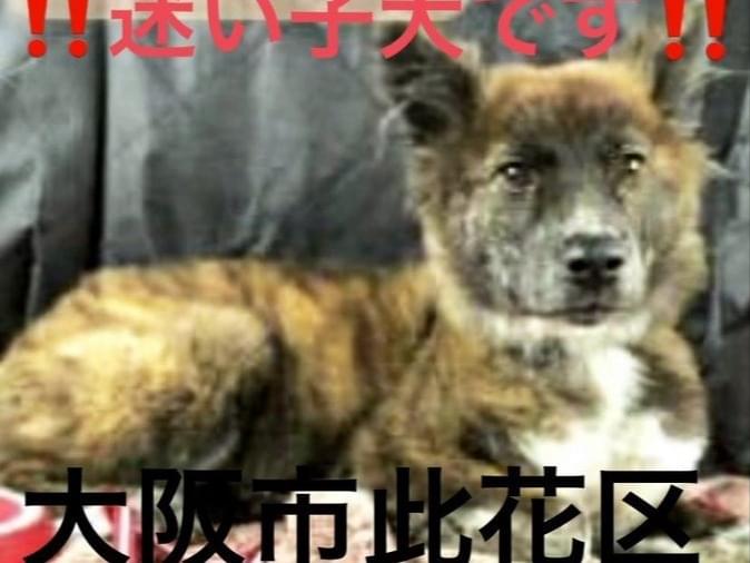 ライムちゃん ライムちゃん