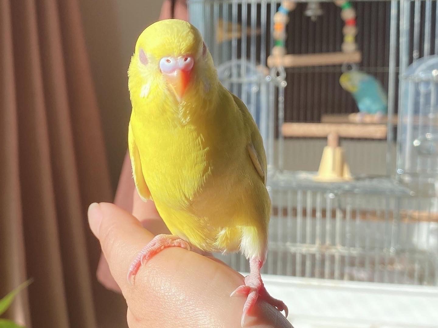 きーちゃん きーちゃん