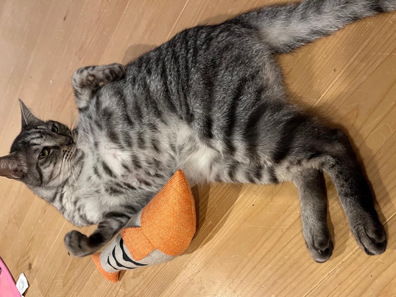たけるちゃん たけるちゃん
