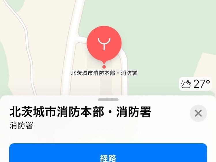 目撃された犬 目撃された犬