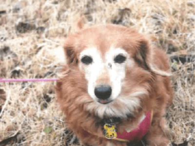 メロンちゃん メロンちゃん